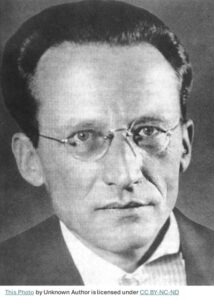 Erwin Schrödinger (1887 - 1961)