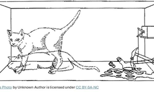 Schrödinger’s Cat Paradox