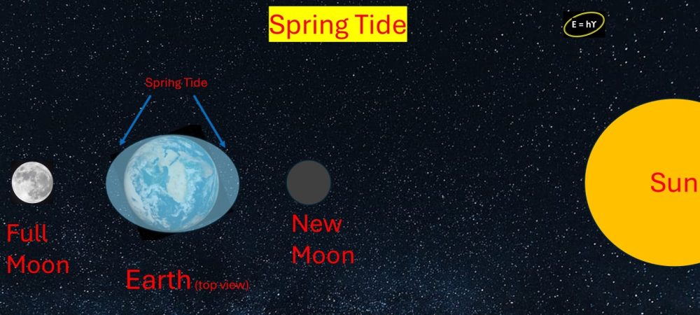 Understanding the spring tide