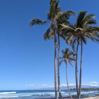 The blue-sky phenomenon due to the Rayleigh scattering