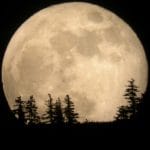 The Moon
